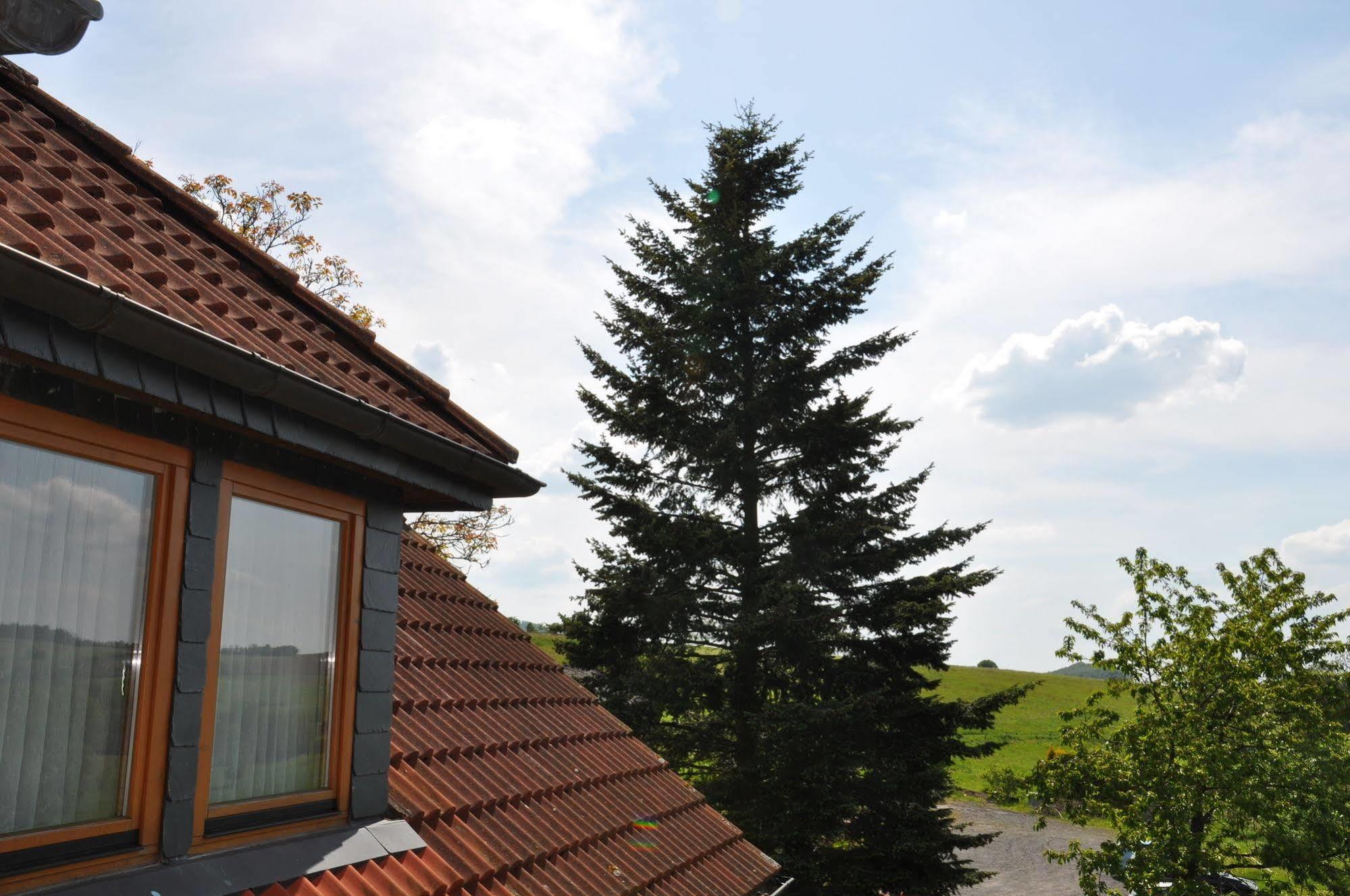 Rhön-Hotel Sonnenhof - Restaurant&Café Poppenhausen Esterno foto